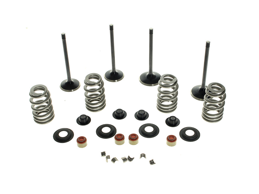 Valve & Spring Engine Kit. Fits Twin Cam 2005-2017 - Kibblewhite