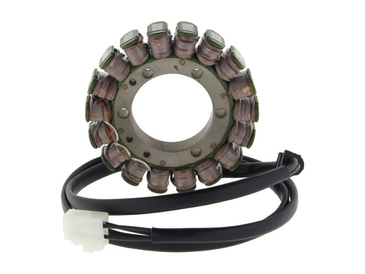 Stator. Fits Triumph 800-900cc 2001-2012. - Ricks Motorsport Electrics