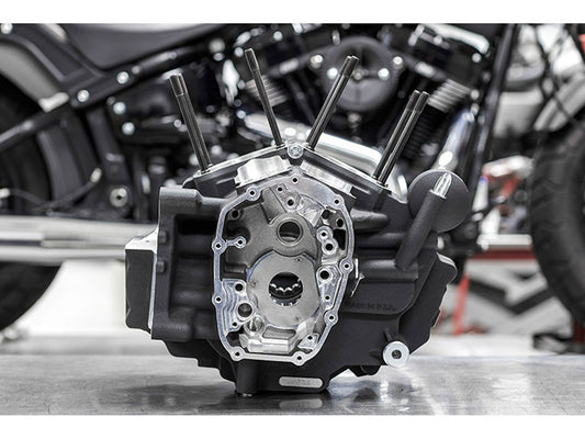 Crankcase Assembly with 4-1/2in. Bore - Black. Fits Softail 2018up - S&S