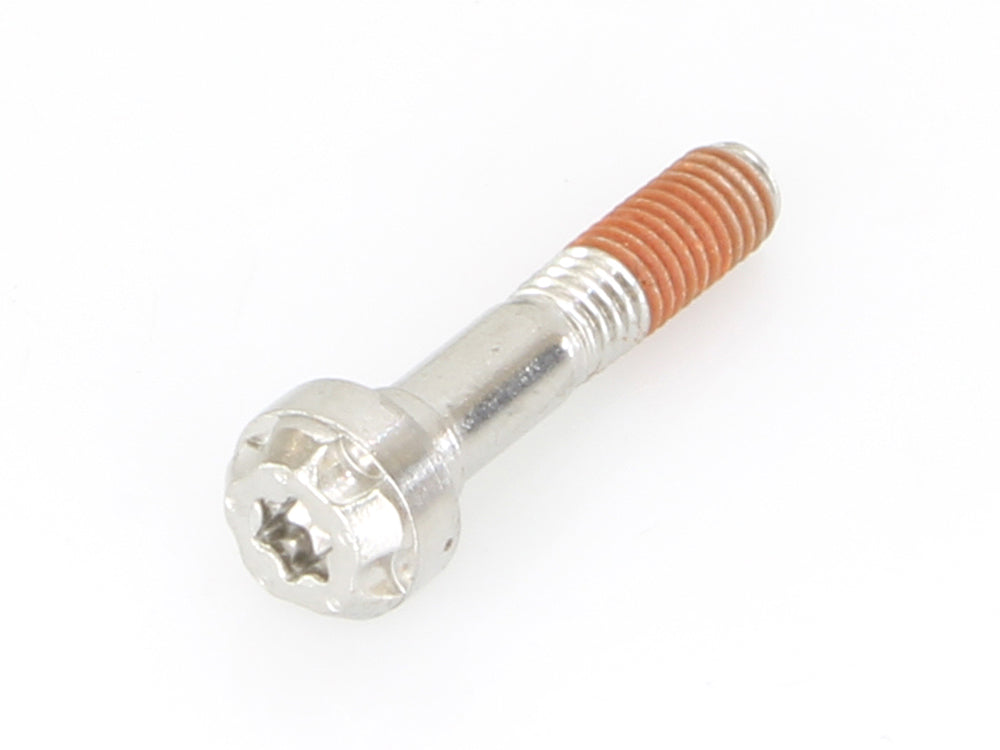 Comp-S End Cap Bolt. 5x25 Torx Hea - Two Brothers Racing Exhaust